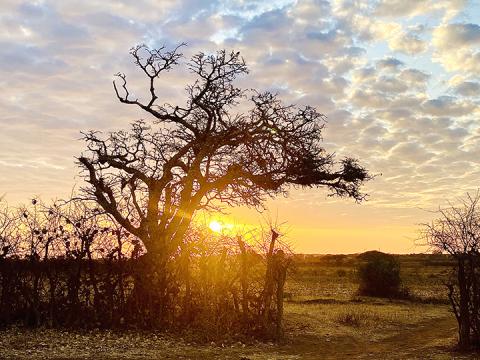 Pictured here is one of Anderson’s many beautiful photos from his travels. | Photo by Trae Anderson