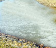 Pictured is an overflow ditch at Guthrie Smith Park that froze solid.